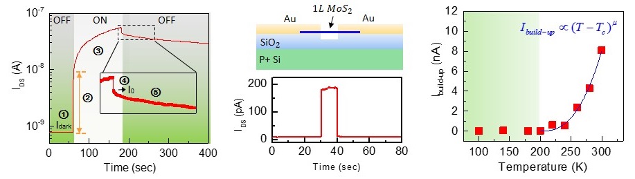 Extrinsic Origin of Persistent Photoconductivity in Monolayer MoS<sub>2</sub> Field Effect Transistors