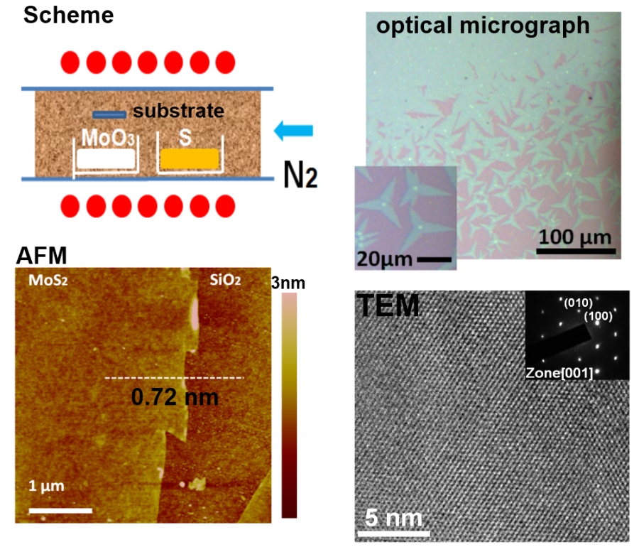 Synthesis of Large-Area MoS2 Atomic Layers with Chemical Vapor Deposition