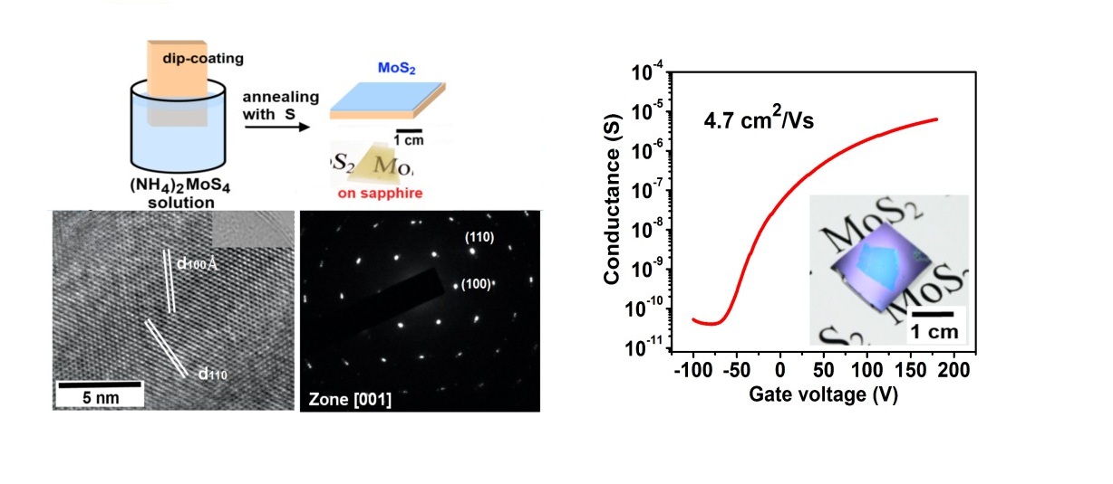 Growth of Large-Area and Highly Crystalline MoS2 Thin Layers on Insulating Substrates