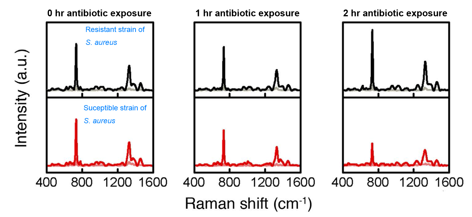 Rapid Bacterial antibiotic Susceptibility Test Based on Simple Surface-Enhanced Raman Spectroscopic Biomarkers