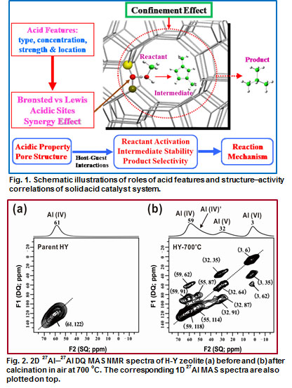 Acidic Properties and Structure-Activity Correlations of Solid Acid Catalysts Revealed by Solid-State NMR Spectroscopy