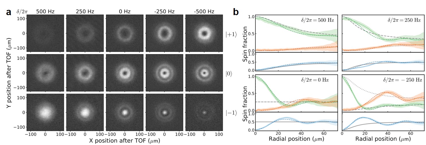 Rotating Atomic Quantum Gases with Light-Induced Azimuthal Gauge Potentials and the Observation of the Hess-Fairbank Effect