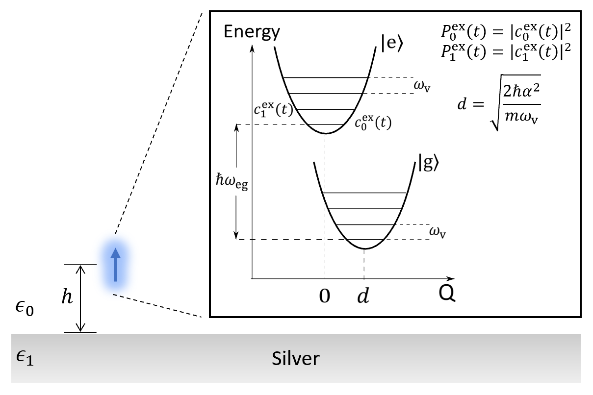 Quantum dynamics of a molecular emitter strongly coupled with surface plasmon polaritons: A macroscopic quantum electrodynamics approach [Editor's Pick] [Editors' Choice in 2019]