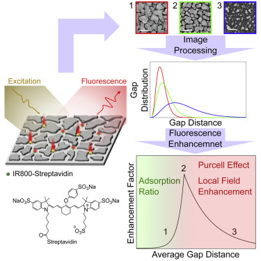 Large-Scale Inhomogeneous Fluorescence Plasmonic Silver Chips: Origin and Mechanism