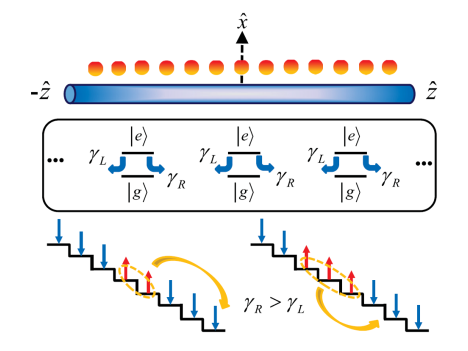 Bound and subradiant multiatom excitations in an atomic array with nonreciprocal couplings