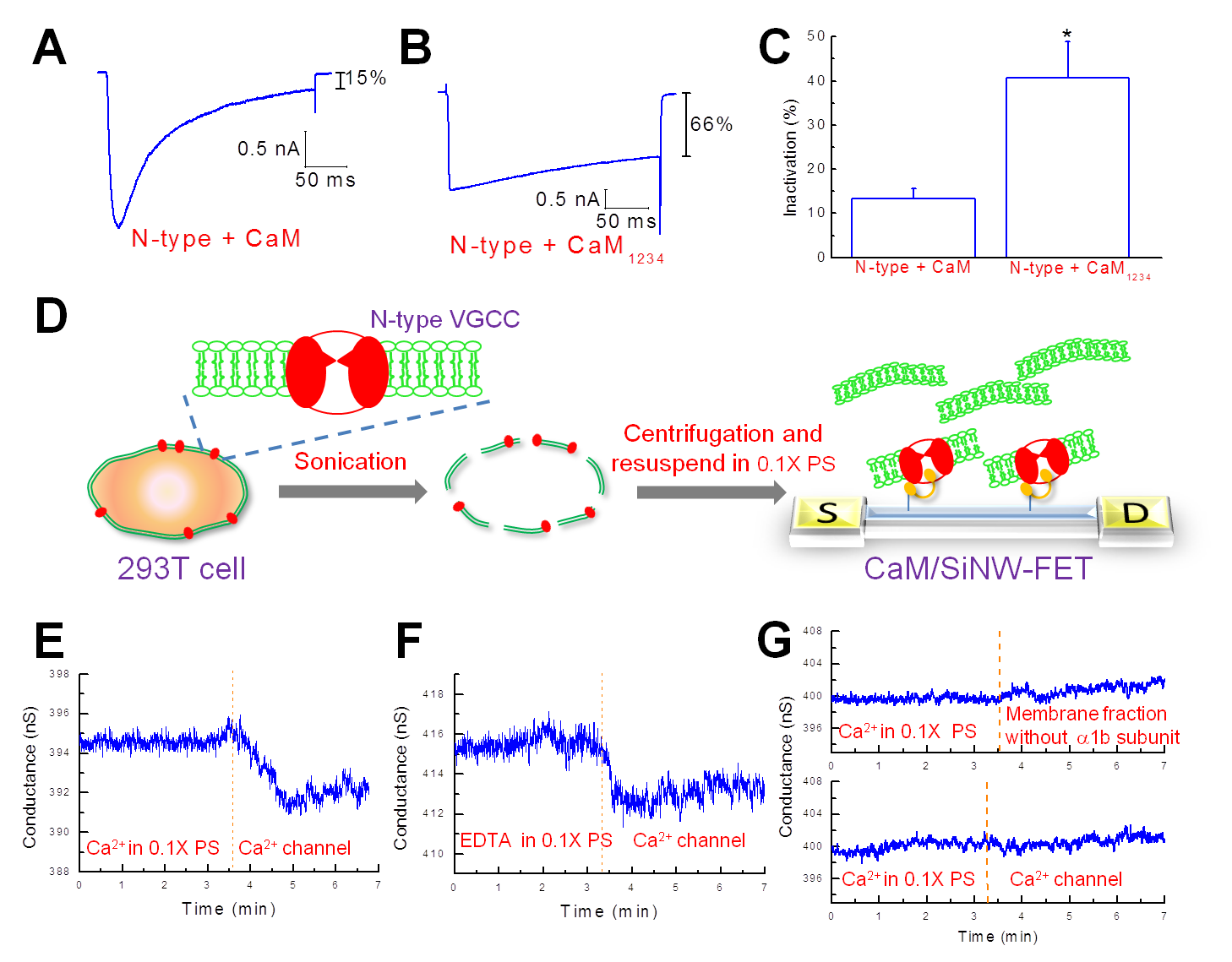 Label-free detection of protein-protein interactions using a calmodulin-modified nanowire transistor