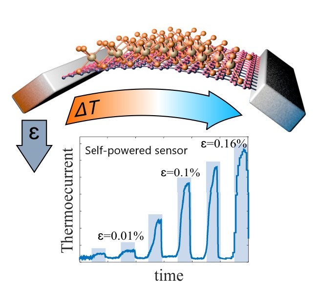 2D mechano-thermoelectric heterojunctions for self-powered strain sensors