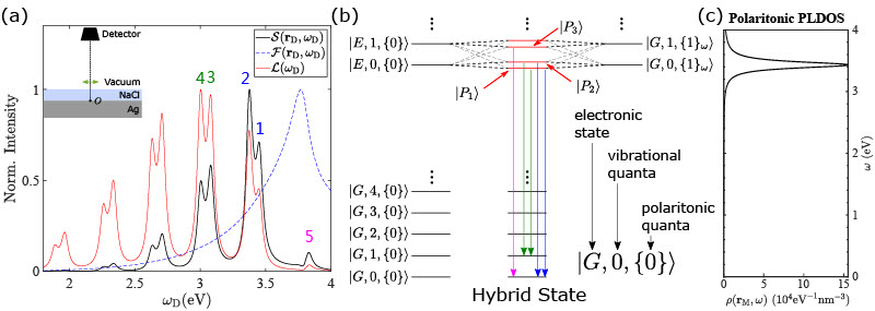 Theory of molecular emission power spectra. II. Angle, frequency, and distance dependence of electromagnetic environment factor of a molecular emitter in plasmonic environments [Special Issue: 2021 JCP Emerging Investigators Special Collection]