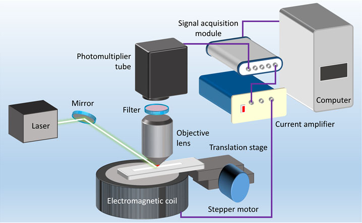 Magnetically Modulated Fluorescence of Nitrogen-Vacancy Centers in Nanodiamonds for Ultrasensitive Biomedical Analysis