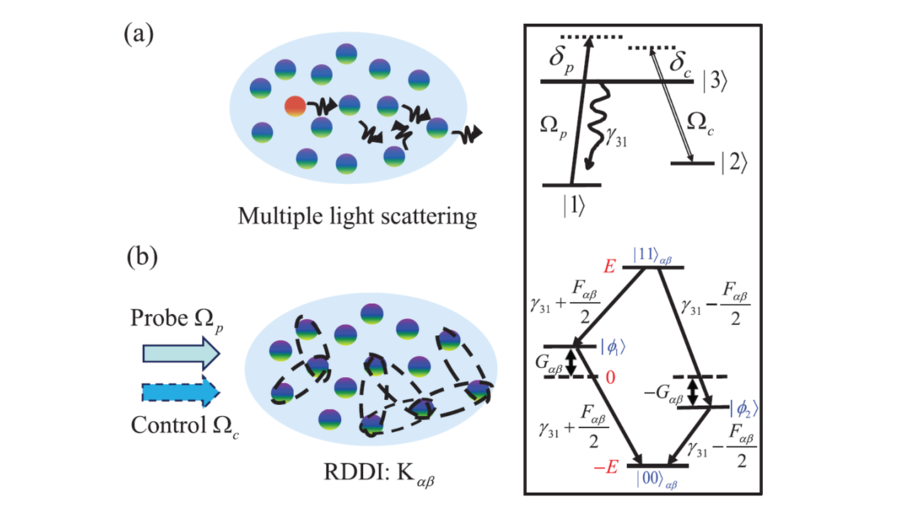 Resonant dipole-dipole interactions in electromagnetically induced transparency