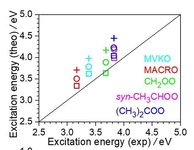Absolute photodissociation cross sections of thermalized methyl vinyl ketone oxide and methacrolein oxide