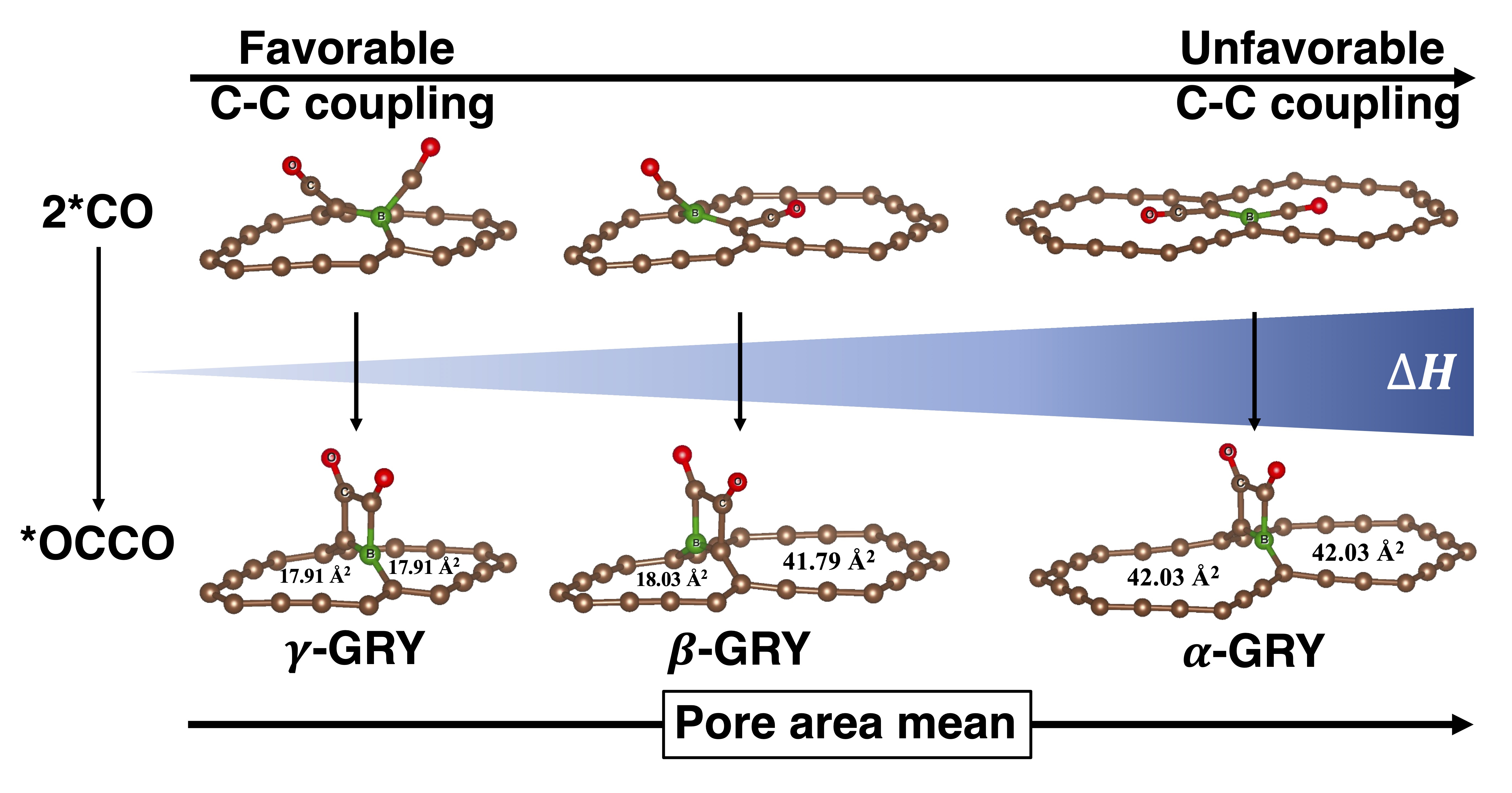 Controlling C-C coupling reactivity through pore shape engineering of B-doped graphyne family