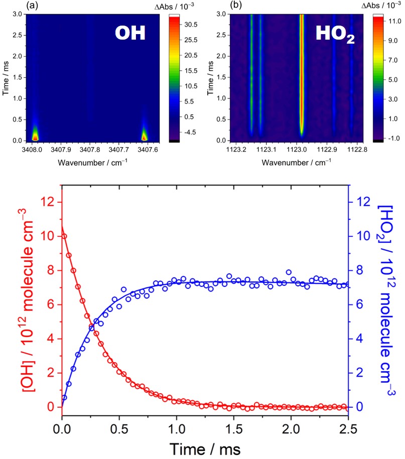 Accurate kinetic studies of OH + HO<sub>2</sub> radical–radical reaction through direct measurement of precursor and radical concentrations with high-resolution time-resolved dual-comb spectroscopy