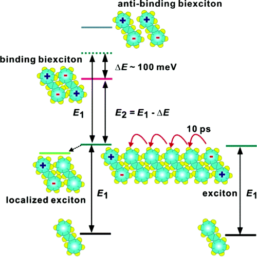 A single molecule view of bistilbene photoisomerization on a surface using scanning tunneling microscopy