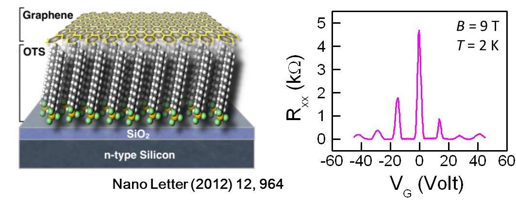 Transport/magnetotransport of high-performance graphene transistors on organic molecule-functionalized substrates