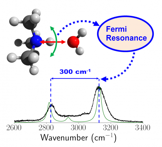 本研究題目Strong Fermi resonance associated with proton motions revealed by vibrational spectra of asymmetric proton bound dimers的代表性圖片