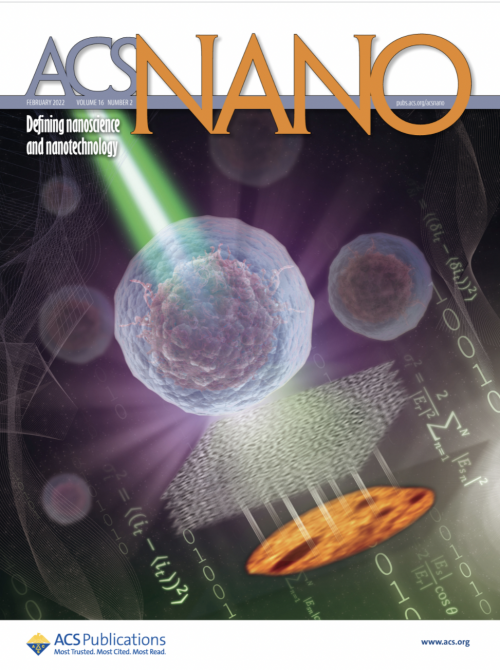 本研究題目Label-Free Dynamic Imaging of Chromatin in Live Cell Nuclei by High-Speed Scattering-Based Interference Microscopy的代表性圖片