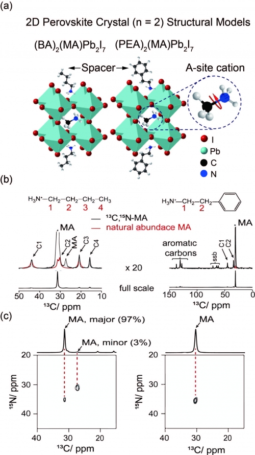 Representative picture of Direct investigation of the reorientational dynamics of A-site cations in 2D organic-inorganic hybrid perovskite by solid-state NMR