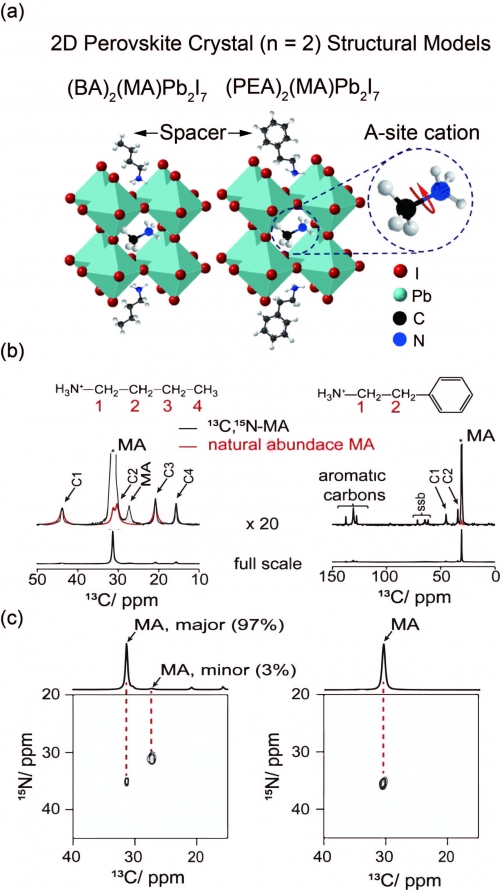 本研究題目Direct investigation of the reorientational dynamics of A-site cations in 2D organic-inorganic hybrid perovskite by solid-state NMR的代表性圖片 本研究題目Direct investigation of the reorientational dynamics of A-site cations in 2D organic-inorganic hybrid perovskite by solid-state NMR的代表性圖片