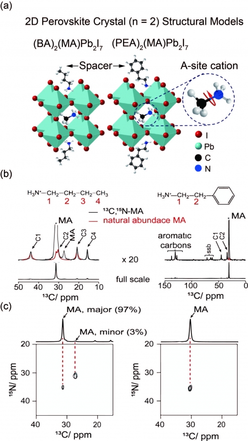 本研究題目Direct investigation of the reorientational dynamics of A-site cations in 2D organic-inorganic hybrid perovskite by solid-state NMR的代表性圖片