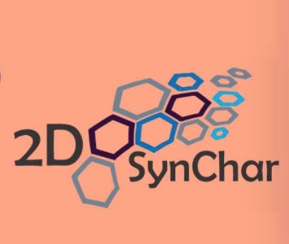 Workshop on 2D Materials Synthesis and Characterization