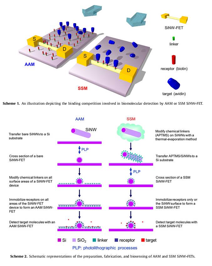   Biomolecular recognition with a sensitivity-enhanced nanowire transistor biosensor.