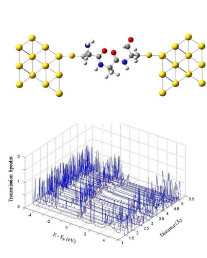 Mechanically Controlled Electron Transfer in a Single-Polypeptide Transistor