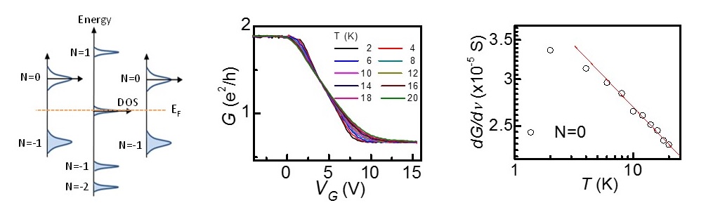 Observation of quantum Hall plateau-plateau transition and scaling behavior of the zeroth Landau level in graphene p-n-p junctions