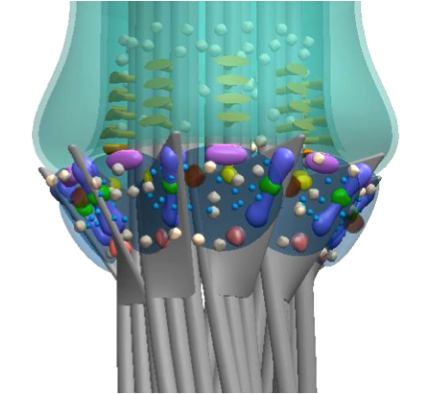 Super-resolution architecture of mammalian centriole distal appendages reveals distinct blade and matrix functional components