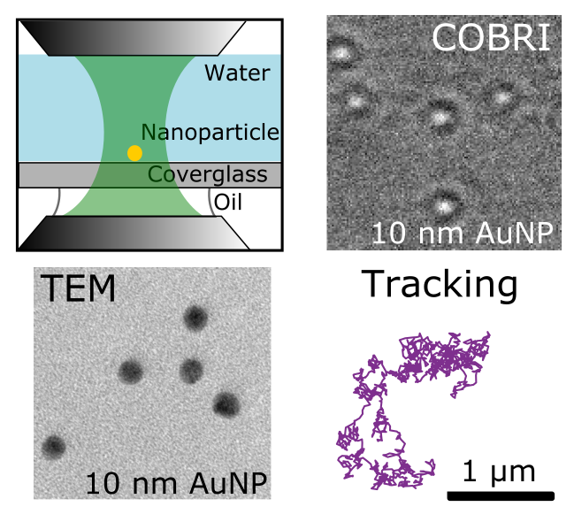 High-speed imaging and tracking of very small single nanoparticles by contrast enhanced microscopy
