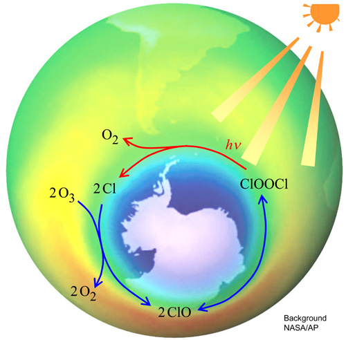 Precise Measurements of Ozone-Destroying Molecule Calm Debate on How the Ozone Layer is Depleted by Human Activities