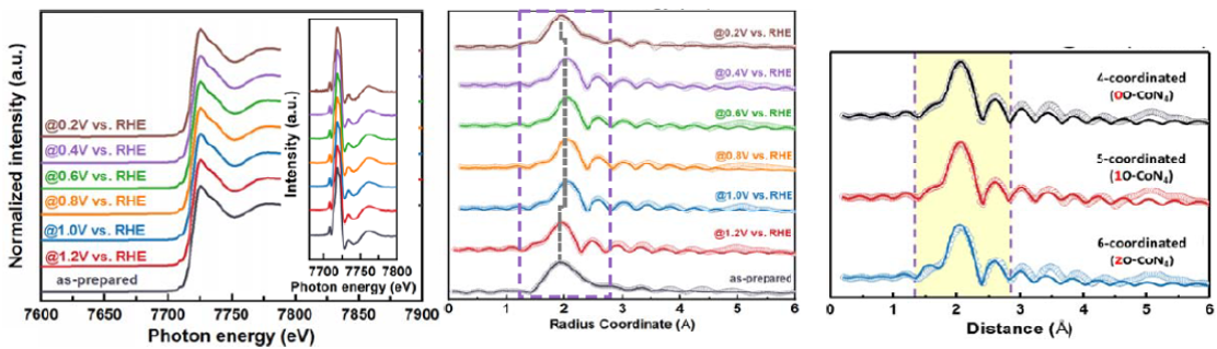 Probing the active site in nonprecious metal-macrocyclic catalysts for ORR via multimodal operando X-ray and electrochemical spectroscopic studies