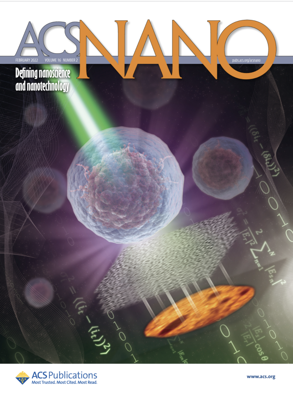 Label-Free Dynamic Imaging of Chromatin in Live Cell Nuclei by High-Speed Scattering-Based Interference Microscopy