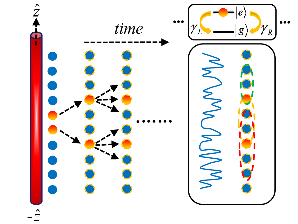 Quantum correlations of localized atomic excitations in a disordered atomic chain