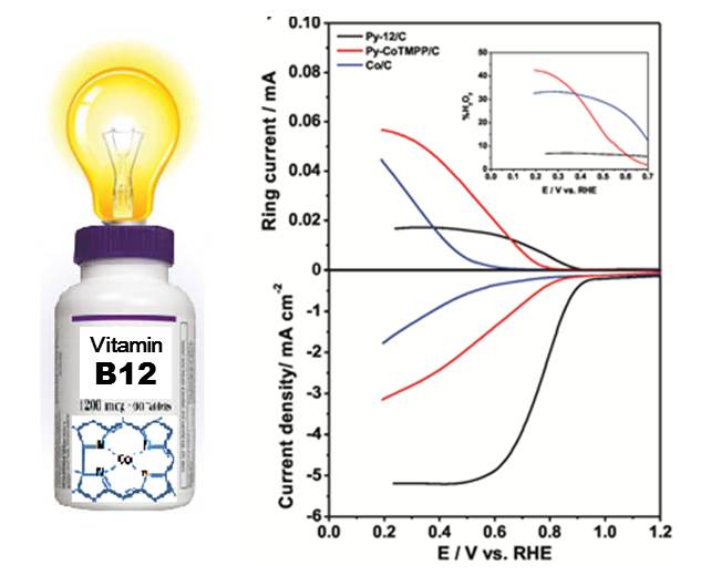 Vitalizing fuel cells with a vitamin: pyrolyzed vitamin B12 as non-precious catalyst for enhanced oxygen reduction reaction