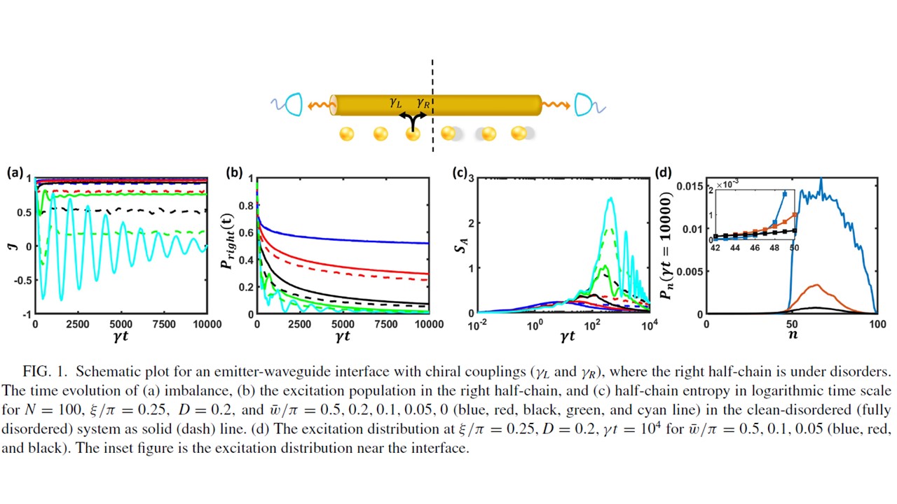 Atomic excitation delocalization at the clean to disorder interface in a chirally-coupled atomic array